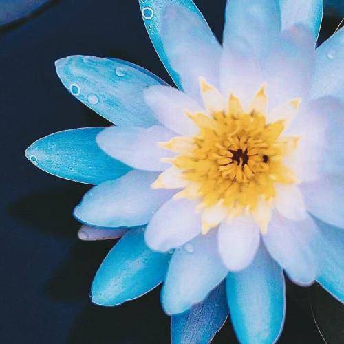  آروم می کرد قلبمو ولی الان نمی گیره ردمو