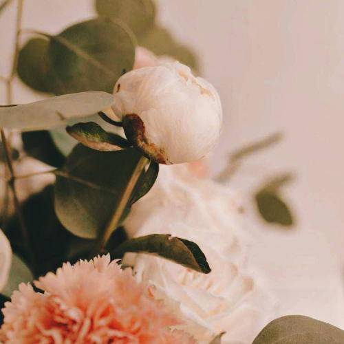 از زندگی دلم گرفته کی می دونه دردم چیه