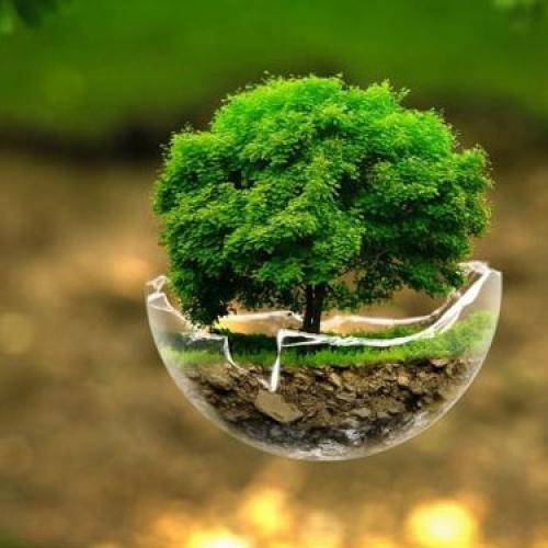 چیه میزنه لاته رفته بگیره دیه دیدنش