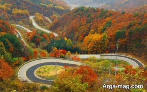 هی میگه گنگم گنگم معلوم نیست چی مصرف کردن