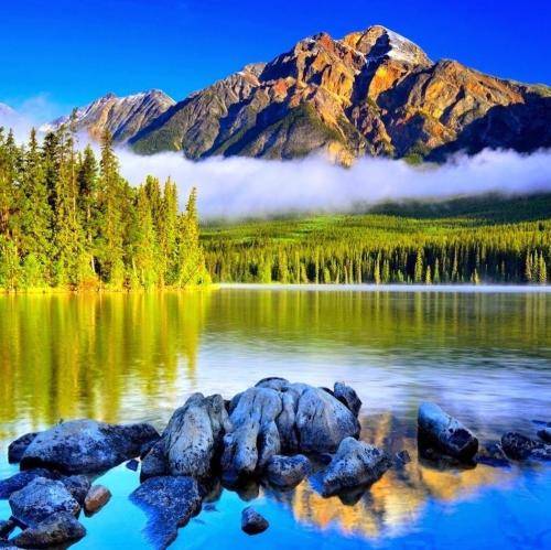 تو هم مث من خودتو نمیبخشی میدونم