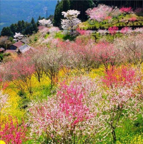  هی داد و فریاد زدم واست آهنگ شاد زدم