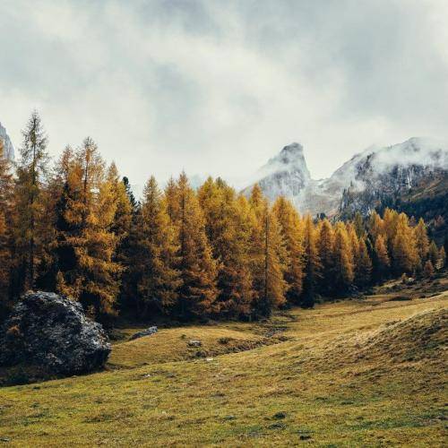 از چشات بگم یا قد کوتات قشنگیش اینجاس منو میبوسی