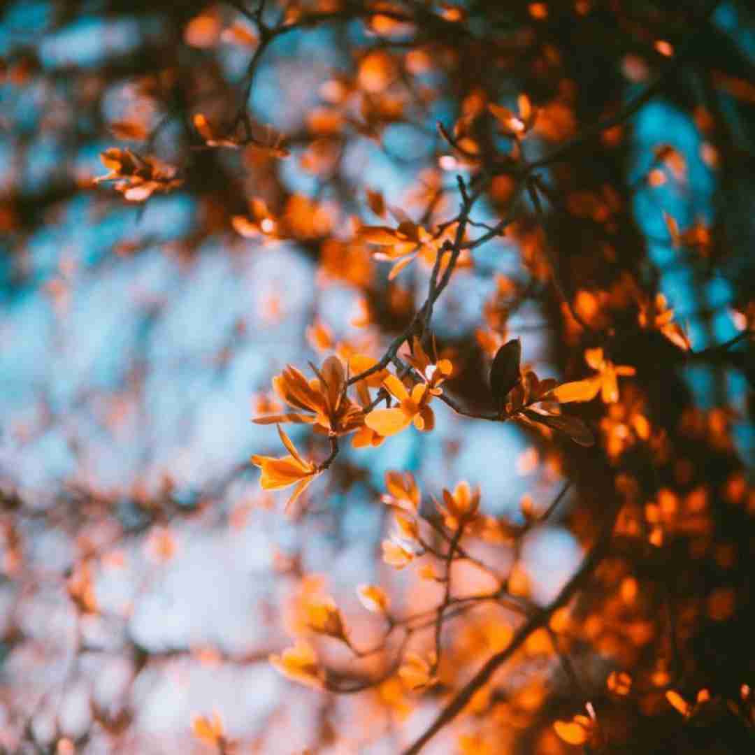  اینجا نابه نابه پیکه دافت واگعیه یا کیکه