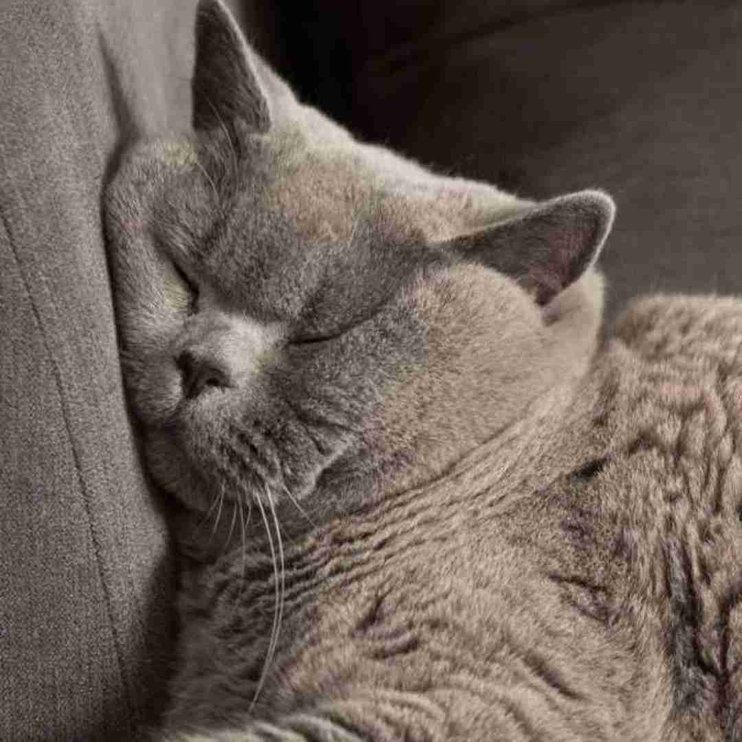  دورم زدی گفتم پروانه ای وای نمیدونستم که فرق داره این بار