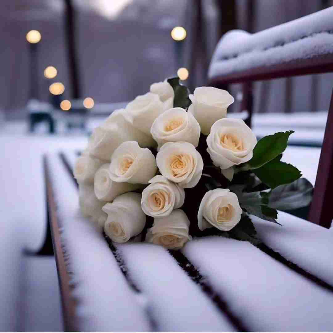 این صورت دپرسم چشای قرمزم تن لش بی حسم