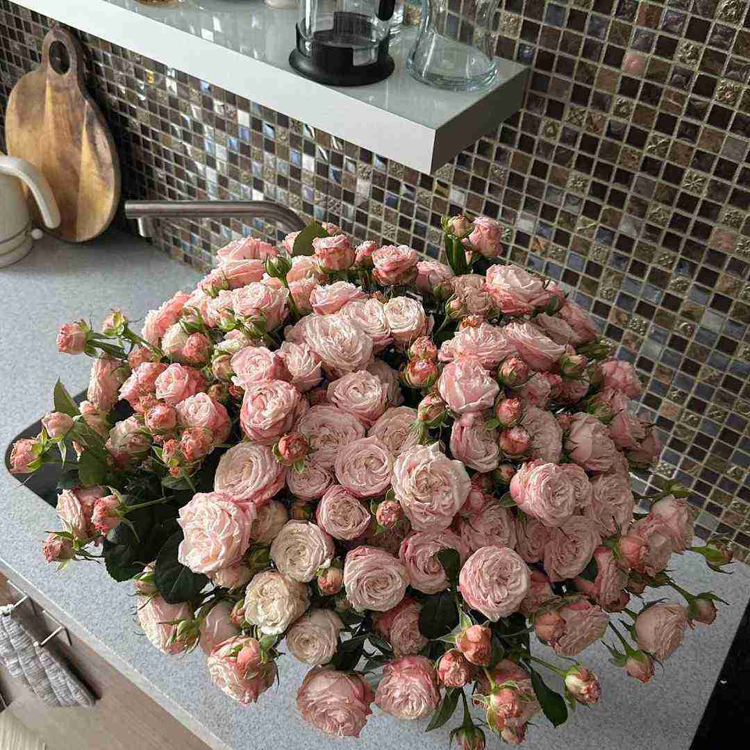 شمع کیک فشفشه هرکی دست نزنه کشته شه