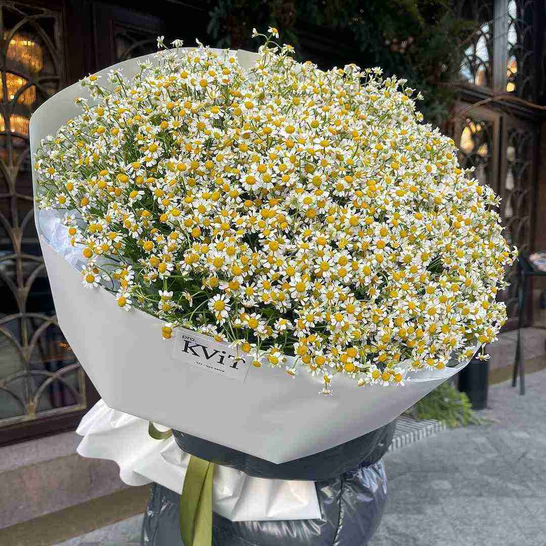 میدونم میدونم قد رعنا داری چشمای زیبا داری خیلی تماشا داری