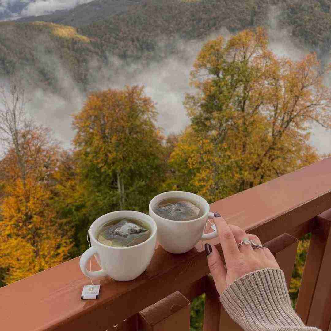  میخواستم بت بگم برگرد ولی چیزی نمونده