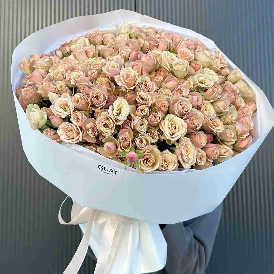  سار بنی بن سانا کندیمی فدا اتمیشیم