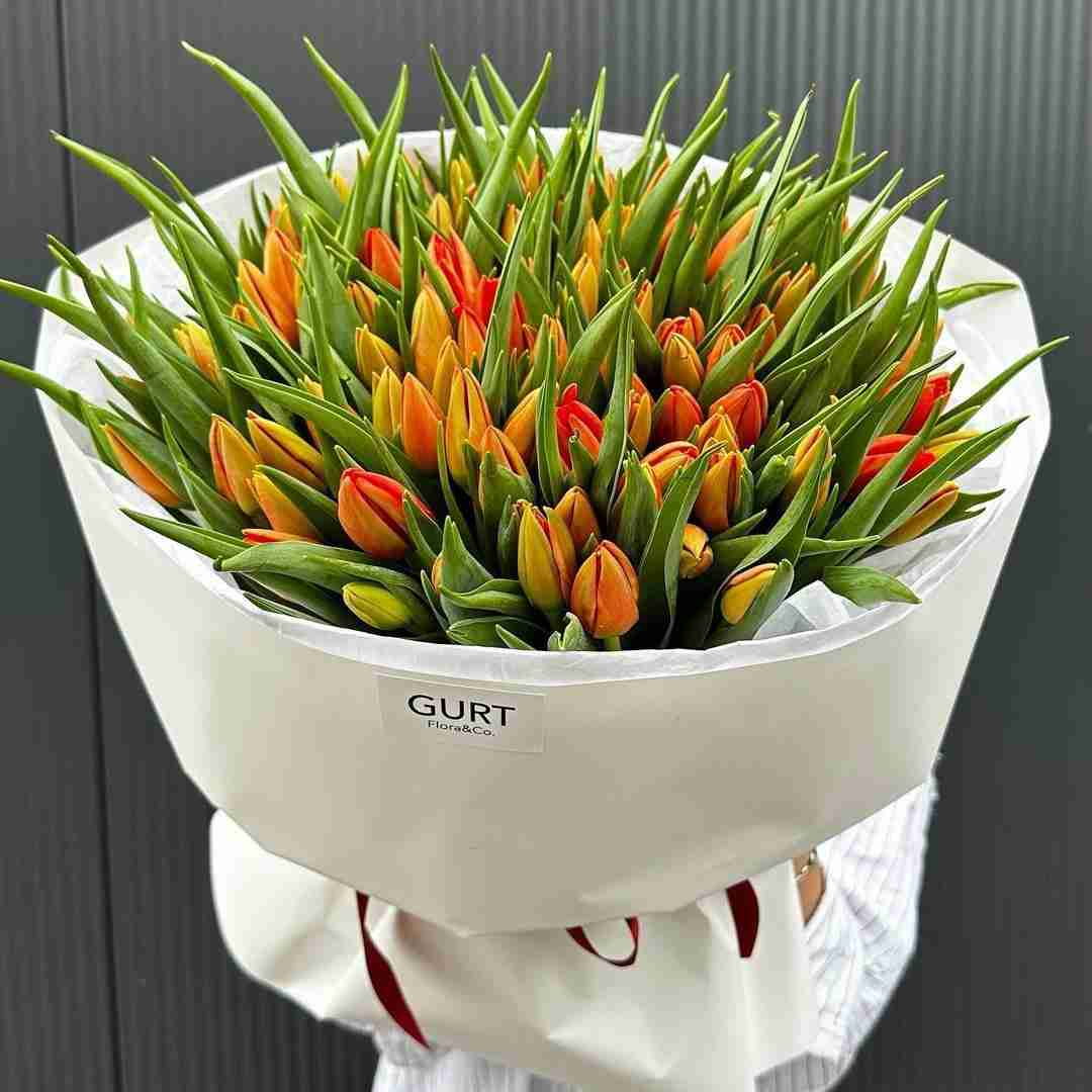 ای یار جانی تو مه جان و جهانی