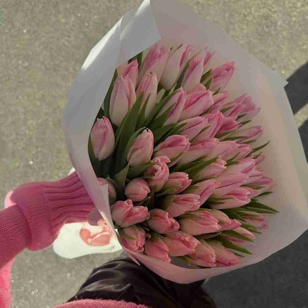  الان دور هم جمعیم پلیس ها همه کردن کمین