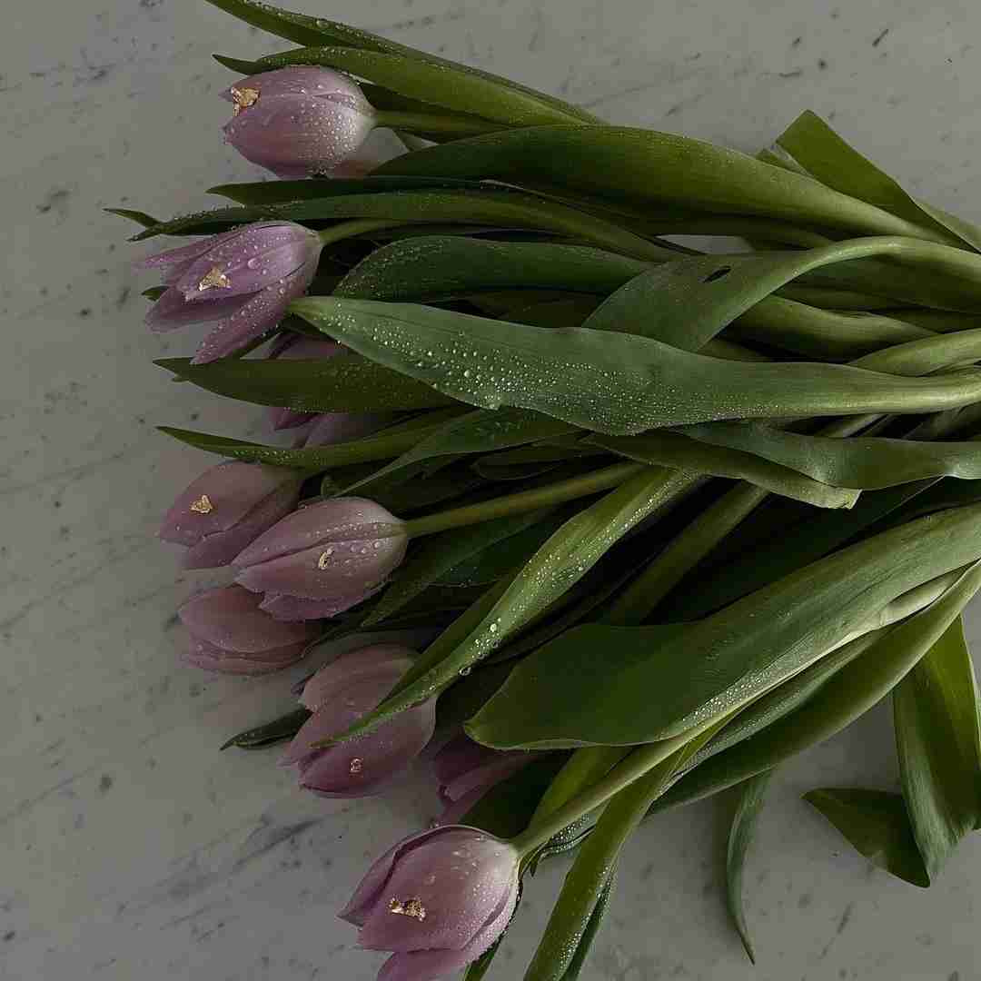  چرا میخوای که کار اداری شه منو دیدی فرار کن و بگو هولی شت