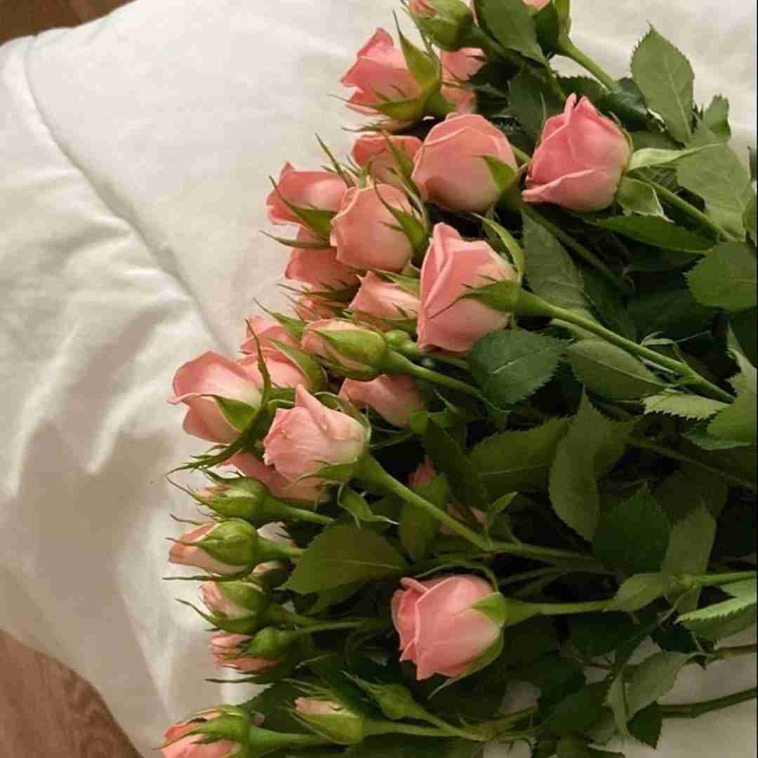چه حسی بهتر از اینکه تو رو دارم