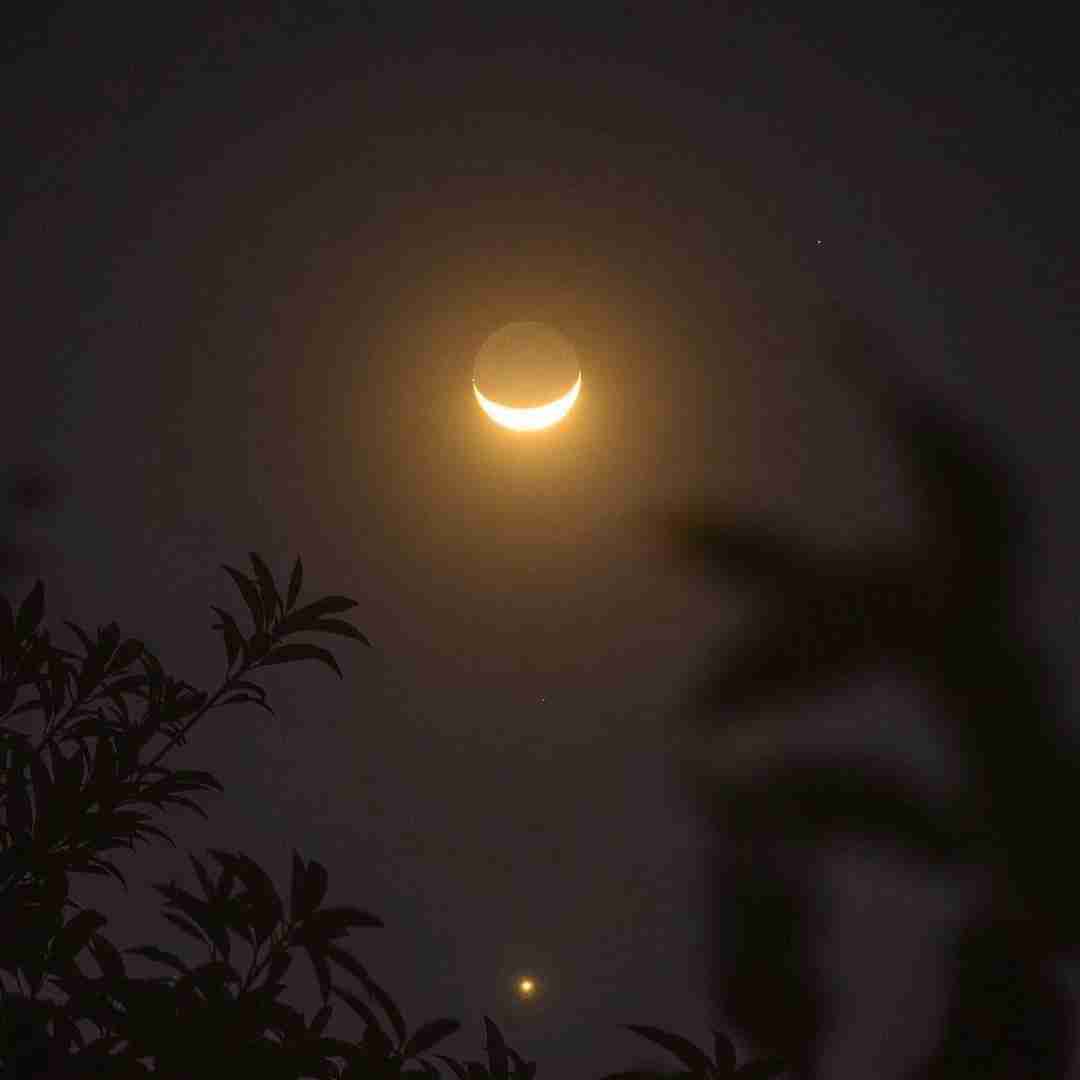 تنها موندم دل تو مال هم از پای یه نفر نی یه نفر نی