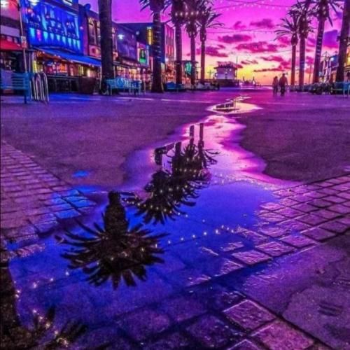  نرگس مست تو از کاسه ی جان می‌نوشد