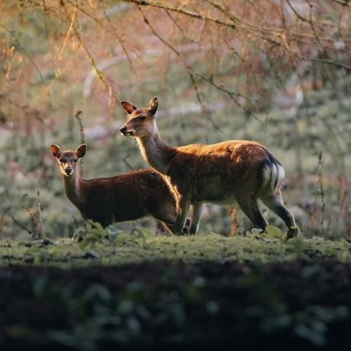 عشق نفرت میشه به تنم زیر با صدای پسر