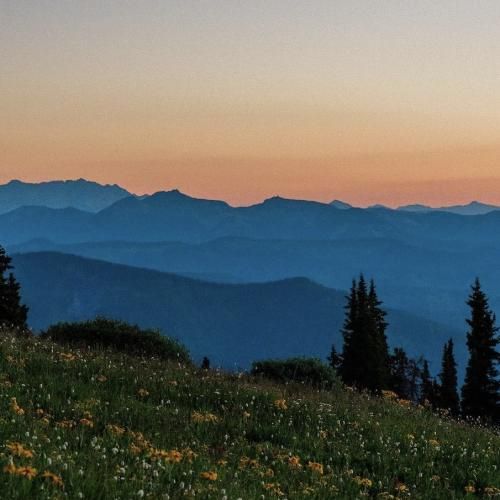 عطر خوب بزن خوش تیپ بچرخ