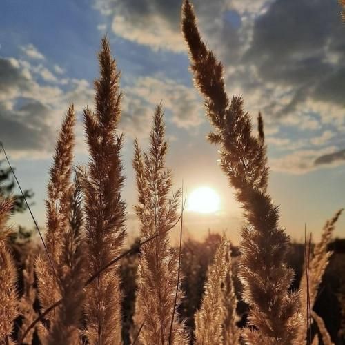 یه فرشته بی بال میخوام تا من اینجام تراپیست