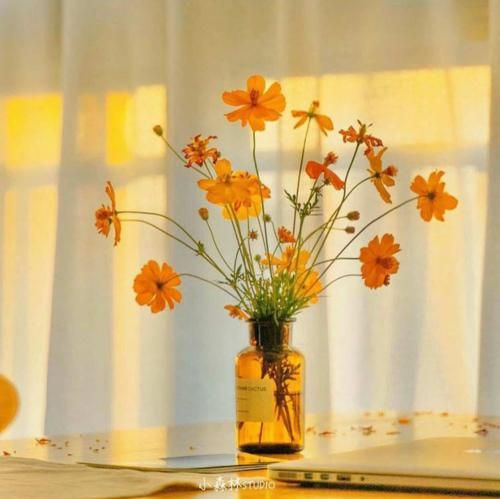 به به ببین کی اومده تو زندگیم