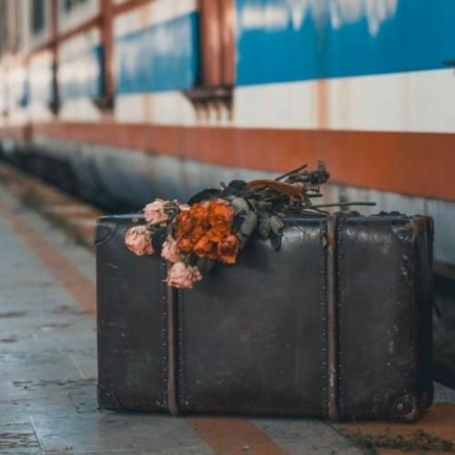 عروس رفته گل بچینه بگین این دور بچینه