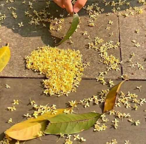 چشم از تو بردارم تو با یک بوسه دستاتو – هوش مصنوعی