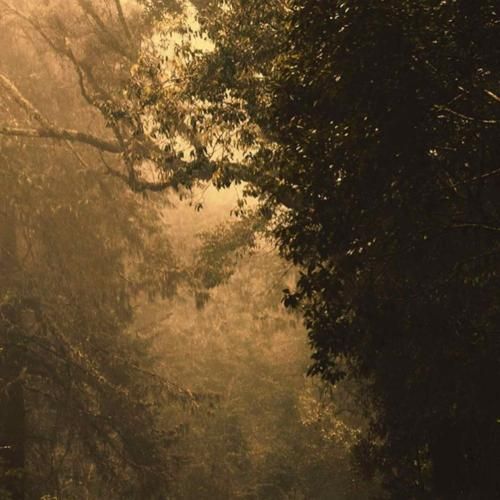 کی بنو شاه زنلی ای بله جونم بله