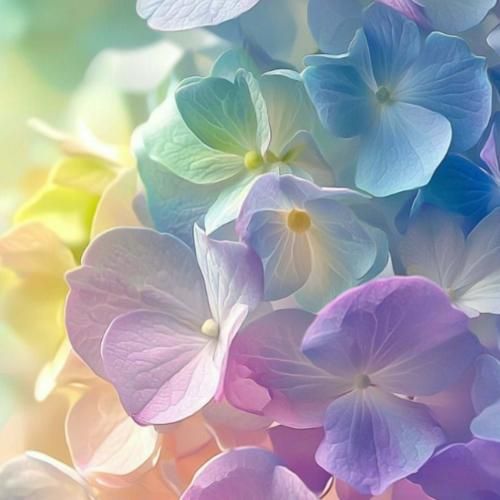 ماشین بتموبیل من نه بوق داره نه صندلی