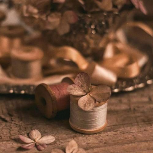 نگو همینه آره دیگه یه شانس بده یه بار دیگه