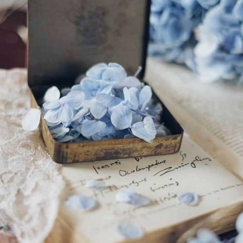 بیا عشقه من بیا هچی که دارم ماله تو – هوش مصنوعی