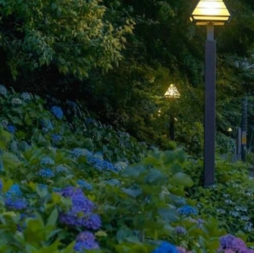  چفتمه چفتشم همه جا گشتم حتی نبود