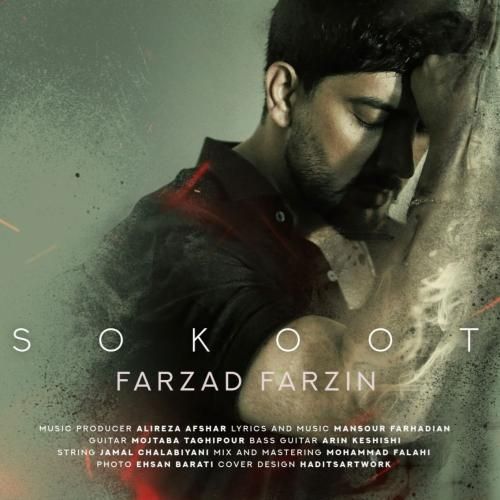 فرزاد فرزین سکوت