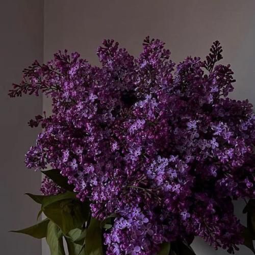  همه چی حله بم بدی دستو بم بگو دل من کو