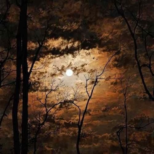  من میدونم که به تو عادت کردم وقتی نبودی دوزو رد کردم