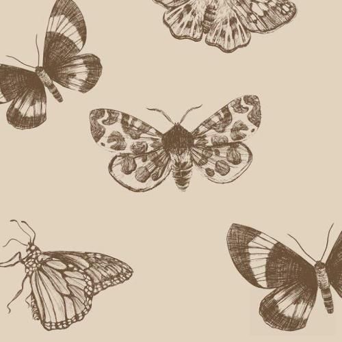 یه شب که تنها شدی بیوفت یادم یه سال گذشت