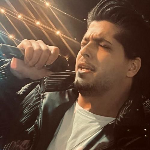 امیر چیتگر گذشت