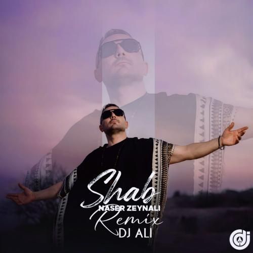 ناصر زینعلی شب