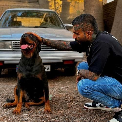 مهدیار یکی نیازمه