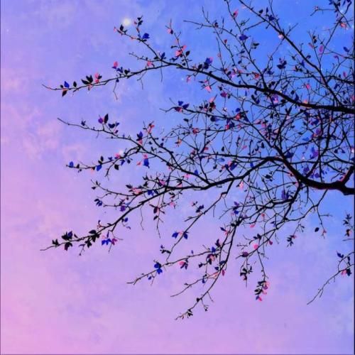 عشق یعنی دعای مامان پشت سرم