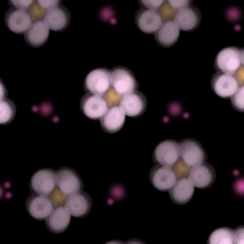 پشت میله مژه هاتم بدون ملاقاتی