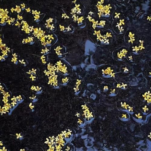  الان یه کشورم که فقط پاییزم زندگی جوریه که مرگ میشه