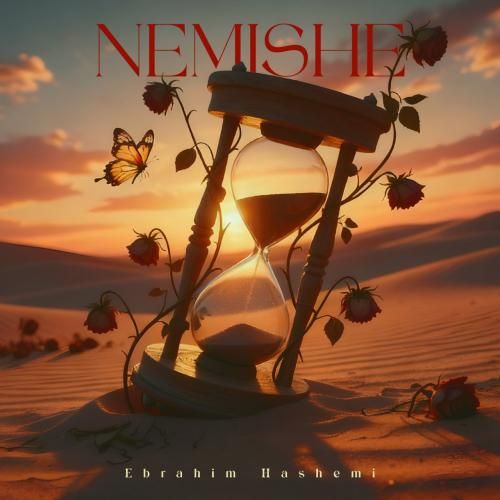 ابراهیم هاشمی نمیشه