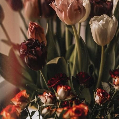 عزیزم دووم بیار به خاطر من این دفعه رو مجبوریا