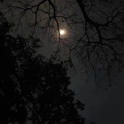  من جونمو دادم ایرانمو بده وضو با خون میگیره