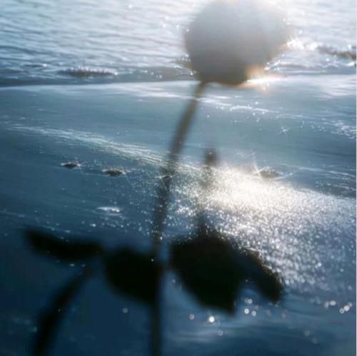 دل من هواتو کرده اما دیگه خطت خاموشه