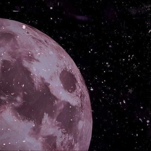  گوسفندا دخیل میبندن به قفس گرگ نفرت میچکه