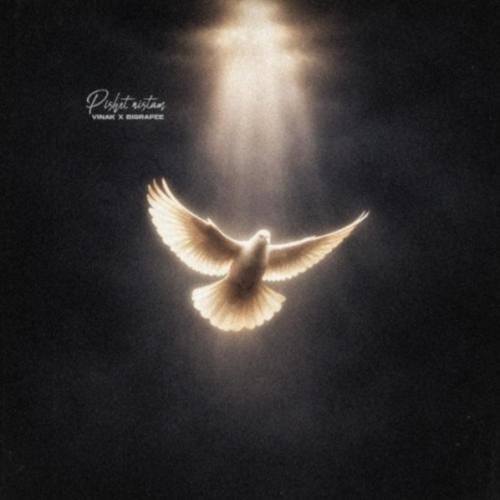 ویناک پیشت نیستم