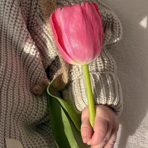 دانلود آهنگ مثل من کی مگه میشد هی عاشقت