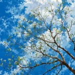 دانلود آهنگ جدید شبیم بود یادمه من که قول داد آخرش رفت دانلود آهنگ جدید شبیم بود یادمه من که قول داد آخرش رفت